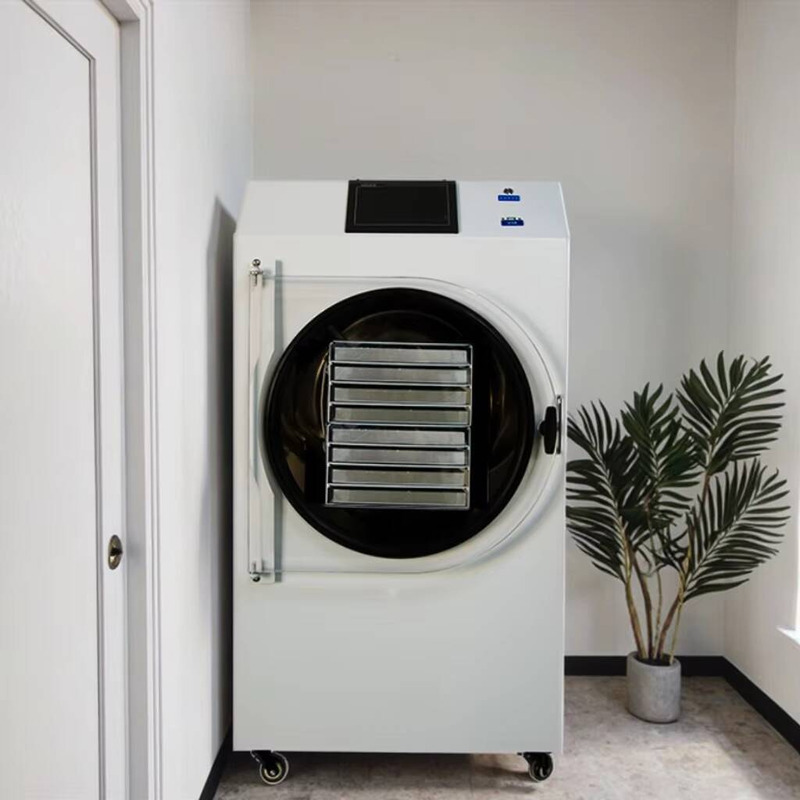 Dried Fruit - Máquina de secado automática controlada por