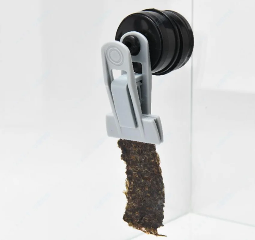 Vastapean-Clip de alimentación - Seaweed Snack reseña y precio